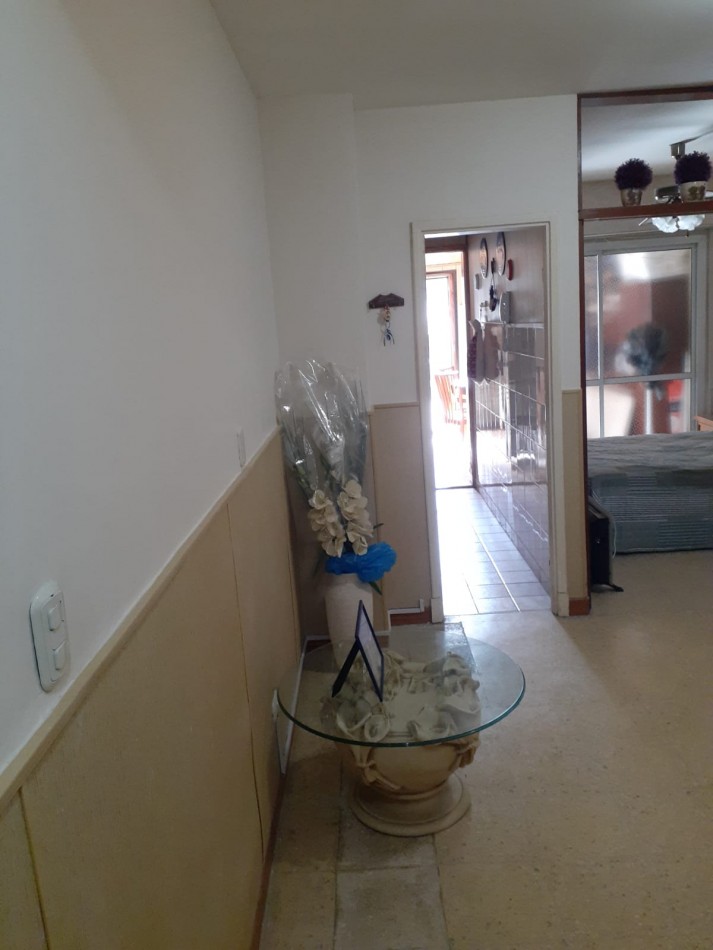 departamento monoambiente y medio con patio