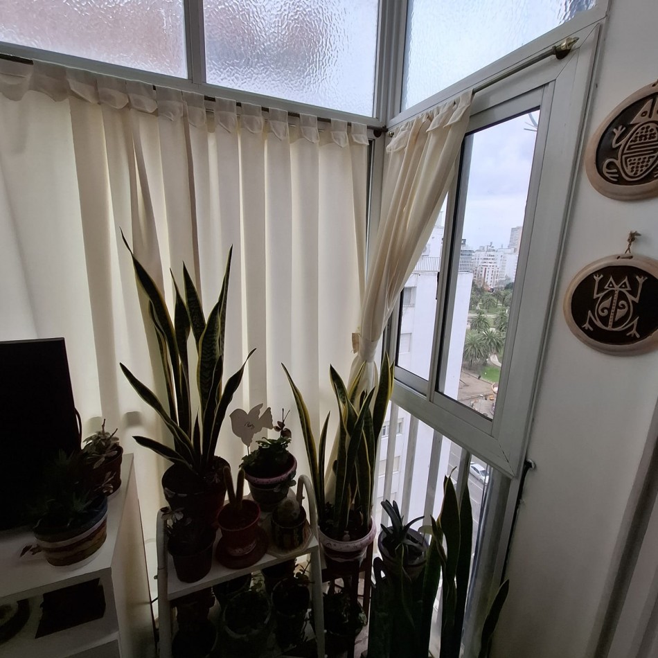 Departamento ambiente y medio en impecable estado hermosa vista a plaza colon